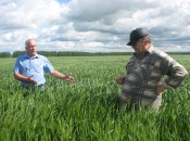 Директор племзавода «Большемурашкинский» А.С. Куликов (слева) с удовольствием показывает озимую пшеницу