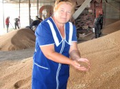 Главный агроном Антонина Шмелёва  грамотно руководит всеми работами в поле и на току