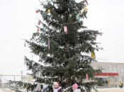 Зима окутала всё вокруг снежным покрывалом, а местная власть позаботилась расставить яркие акценты в виде праздничной иллюминации