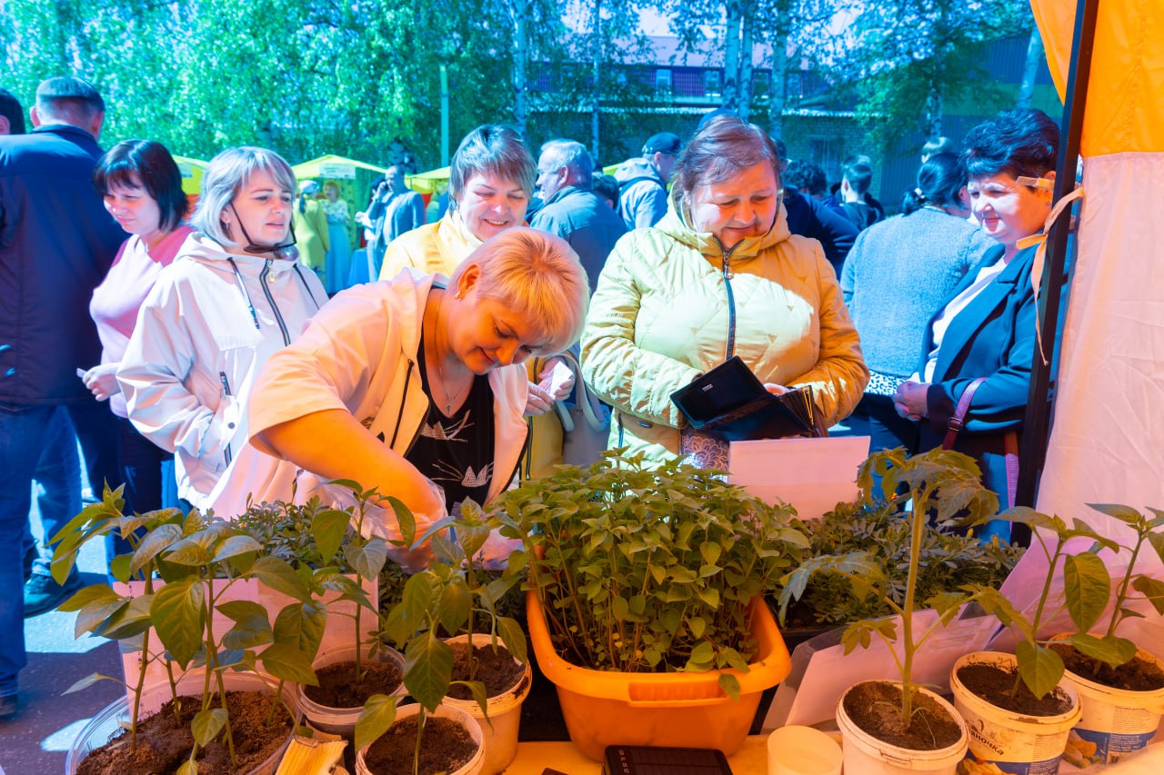 45 ярмарок «Покупайте нижегородское» пройдет в июне в регионе | 05.06.2024  | Большое Мурашкино - БезФормата