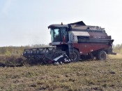 Довольно редкая картина для нашего района: уборка клевера на семена в КФХ Рыжов А.Л.