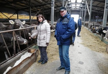 Мария Борисовна Самсонова осматривает животноводческий двор племзавода