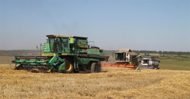 Жаркая, сухая, солнечная погода благоприятствует уборке озимой пшеницы на племзаводе НБольшемурашкинский»