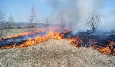 Огонь быстро продвигался в сторону Малого Мурашкина, пока его не остановили пожарные