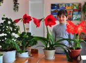 Отрадно, когда в конкурсе принимают участие не только взрослые, но и дети. Тимофей Дарявин занял 2-е место в номинации «Неземная красота».