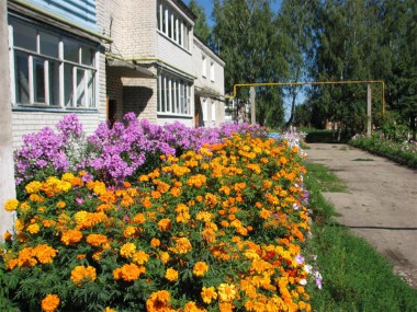Цветущий двор дома №15 в посёлке Меховщиков