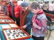 Ветераны с большим интересом рассматривали коллекцию бабочек