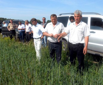 Фермер Михаил Коженков (справа) показывает посевы пшеницы