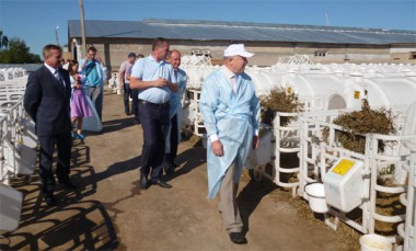 Губернатор Валерий Шанцев знакомится с новым комплексом на племзаводе