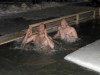 Ни мороз, ни ветер, ни ледяная вода не остановили купальщиков в Крещенскую ночь