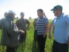 Опытный агроном В.М. Шмелев дает советы фермерам