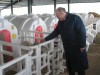 Советник губернатора Геннадий Баландин посетил животноводческий комплекс в Вершинине