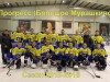Хоккейный клуб «Прогресс»