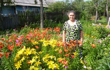 На своем участке Алевтина Васильевна Огурцова выращивает много цветов